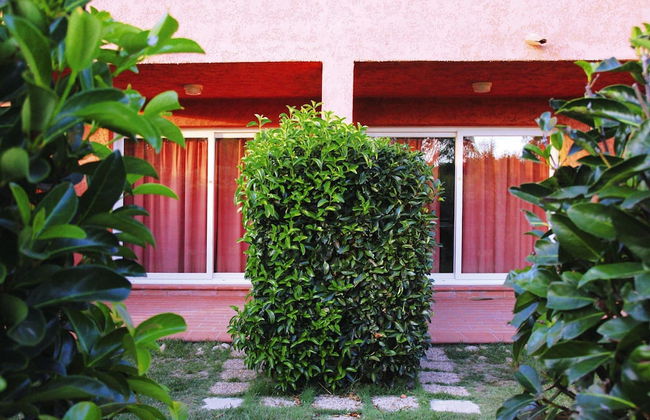 Apartment in Ghisonaccia Near Sandy Beach - Foto 24