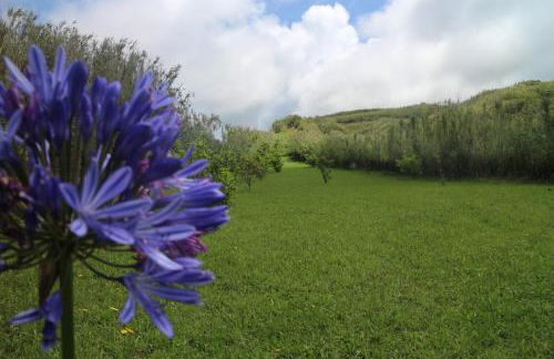 Casa Catita 199 RRAL - Photo 23