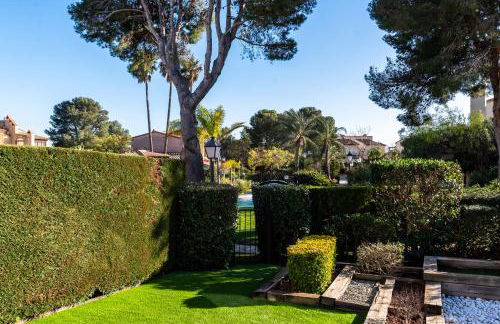 Fabulosa Olivera entre mar y montanas - Foto 35