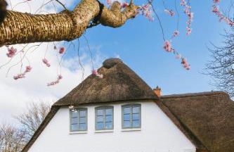 Enjoy Fresh Air In A Holiday Apartment On Föhr - Foto 22