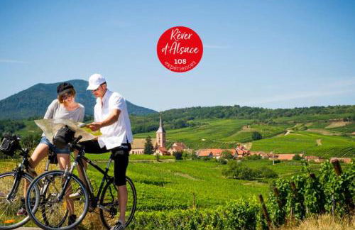 La Villa du Vignoble d Alsace - Photo 37