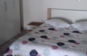 Apartmani Vesna - Foto 63