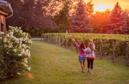 Beautiful Comfy 2 Bedroom Condo Stunning Golf Course Views 5166 - Foto 39