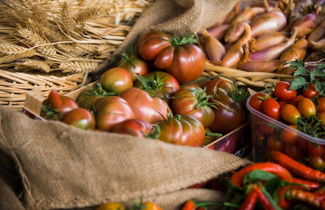 Agriturismo Arte Contadina - Photo 18