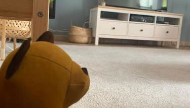 Castagneti House -14 km dalla FERRARI - Foto 3