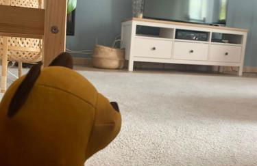 Castagneti House -14 km dalla FERRARI - Foto 3