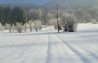 Forestside House Gacka with relax area - Foto 33
