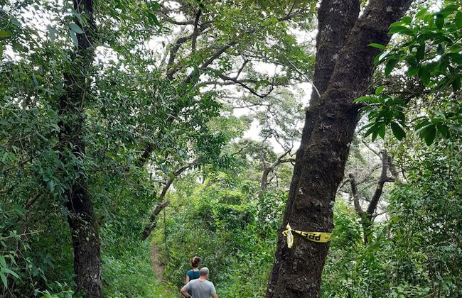 Finca El Tambor - Foto 43