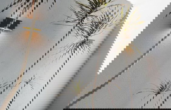 NIU Modern Apartments near WTC & Condesa - Roma Sur - Foto 41