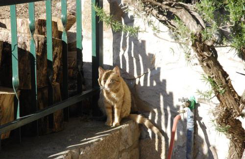 Apartments Silvana - Foto 16