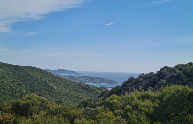 Pietralunga - Foto 1