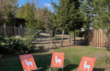 Agroalpaka Mazury - Foto 39