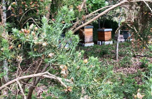 LES VACANCES AUX CERCINS - Foto 32