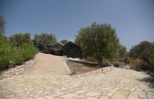 Elia Village - Photo 39