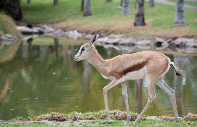 De Werf Lodge - Photo 31