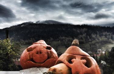 Willa Wierchy - Foto 18