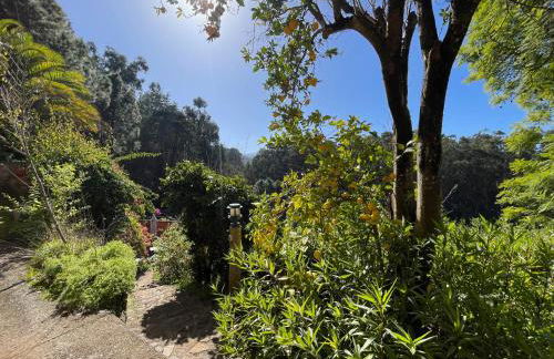 Finca El Lance Zumacal - Foto 18