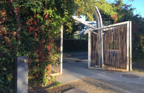 Charm Miró - Photo 29