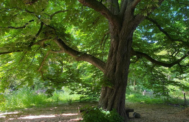 Holiday Home in Leende for ten Person - Foto 25