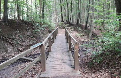 Ferienwohnung Wellenreiter - Foto 32