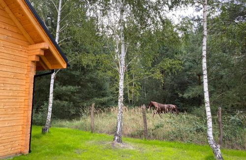 Na Wrzosowej, domy z bala PREMIUM, blisko Suntago - Photo 27