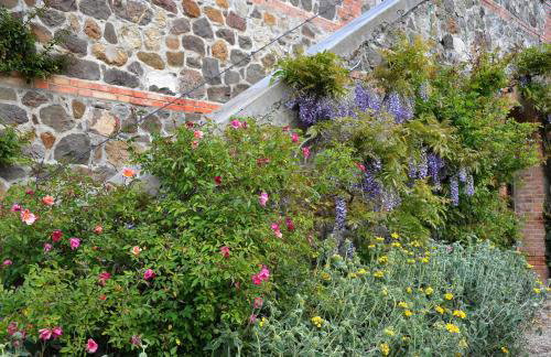 Azienda Agricola Chiarentana - Foto 37