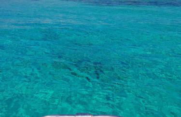 Ale house experience - Foto 55