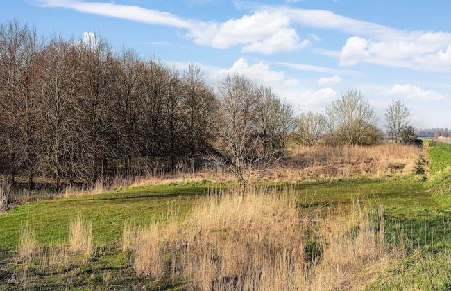 Lovely Holiday Home From 1761 With Contemporary Comfort - Foto 32