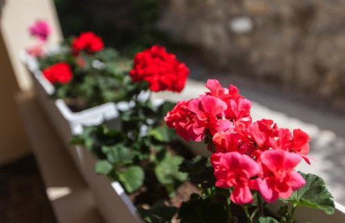 Apartments Bella - Photo 19