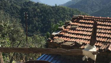 Rural house - Photo 3