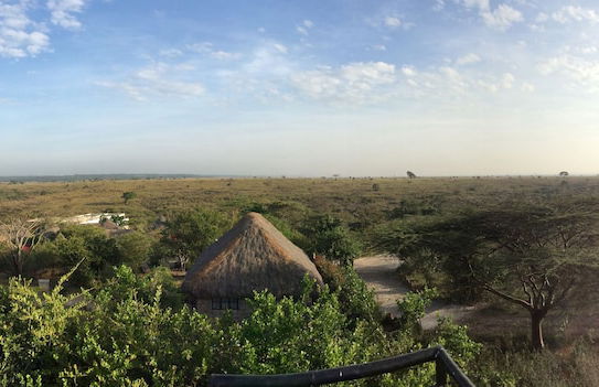 Nyati Hill Cottages - Foto 42