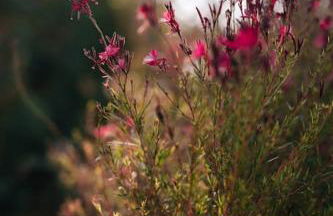 Villa Mare Nostrum Sounio - Foto 29