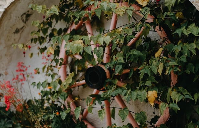 Obrava Guesthouse Kotroni Trikalon - Photo 51