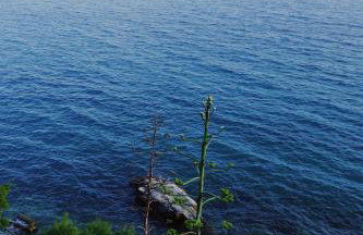 APARTMENT DoEL-parking , 2 minutes to the beach - Foto 34