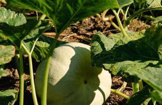 Kukutseli Country Living by WhiteDream Villas - Foto 32