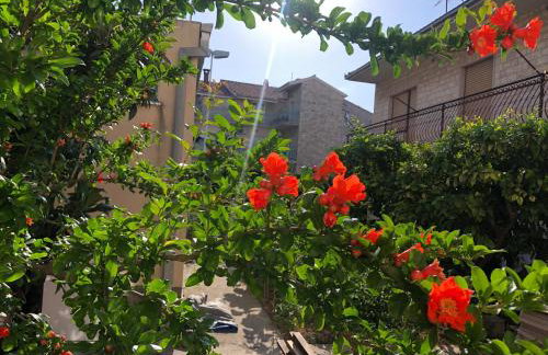 Garden apartman Split - Foto 30