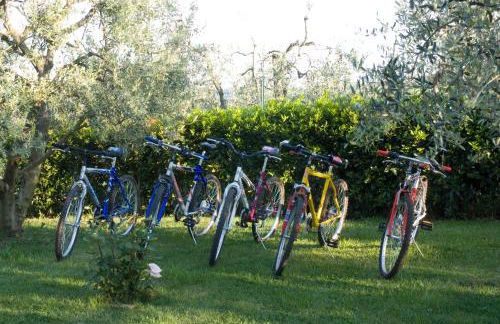 Agriturismo Macinatico 1 - Foto 102