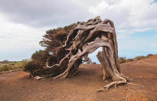 Casa Esteban Y Facunda - Foto 71