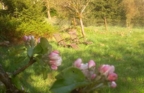 Fichtenloft - Foto 4