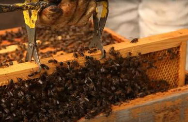 Quinta da Meia Eira - Photo 76