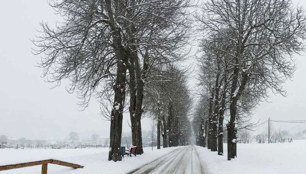 Real Valle Ezcaray - Foto 5