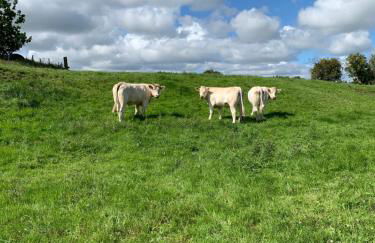 Jenson Cottage - Photo 53