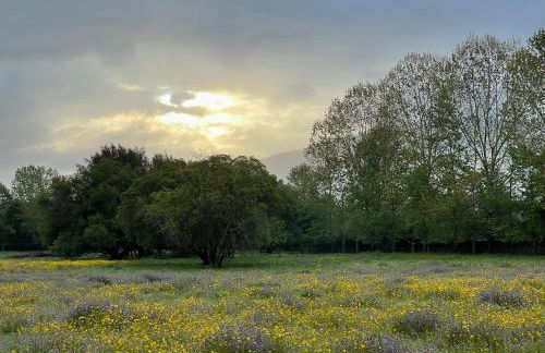 Quinta do Areal - Foto 43