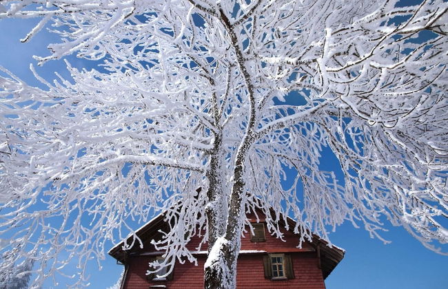 Apartment Near Pizol - Foto 21