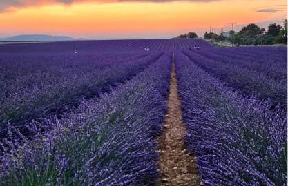 -Le Toit Terrasse - - Foto 7