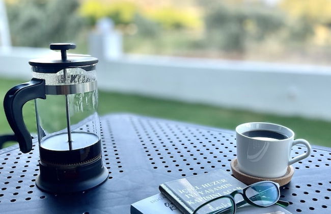 OlivAparts - Photo 45