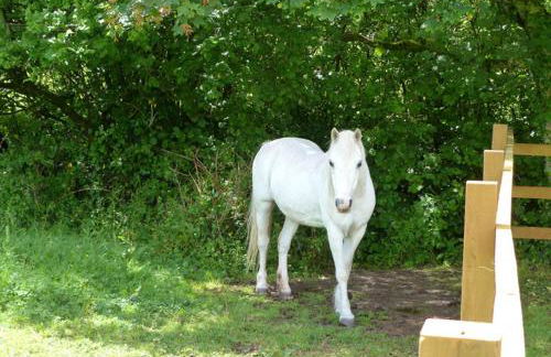 3 Bed in Pembroke oc-bow018 - Foto 21