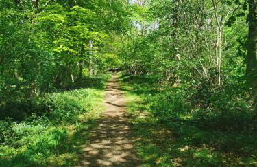 Fern Lodge - Foto 16