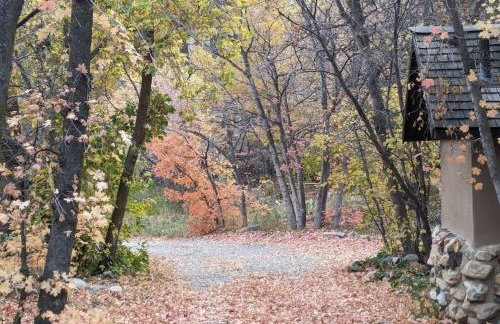 Cabin on Big Cottonwood River - Foto 3