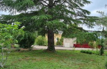 La Passiflore - Foto 11